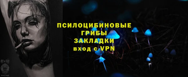 крисы Аркадак