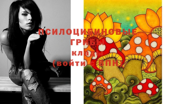 крисы Аркадак