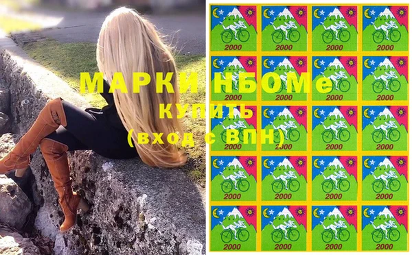 крисы Аркадак