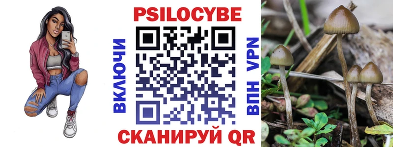 Псилоцибиновые грибы Psilocybe сколько стоит ОМГ ОМГ как зайти Певек